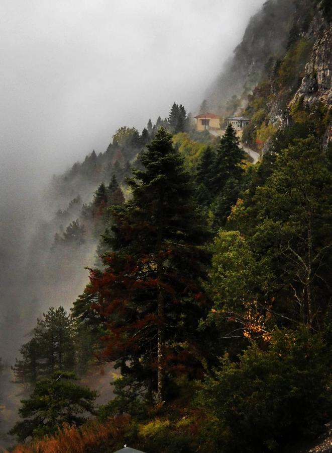 Χenonas Ziakos Otel Amárantos Dış mekan fotoğraf